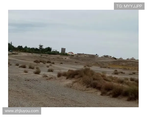 9游官网个人中心常见问题解答帮助用户快速解决使用中的疑难