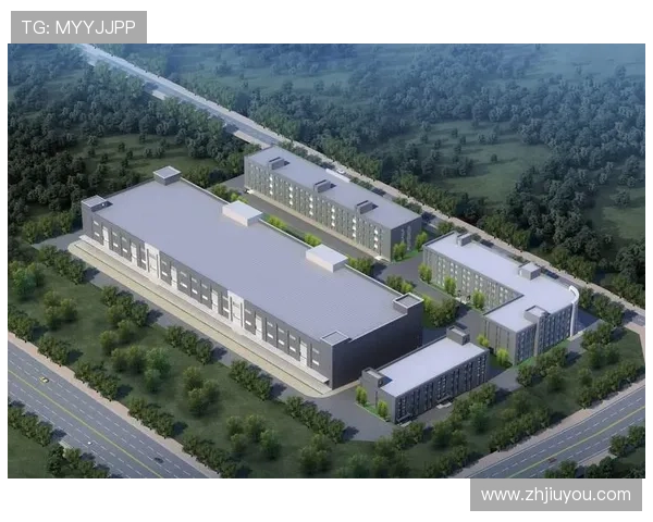 凯发集团简介资料涵盖公司历史沿革、主要产品及市场布局分析