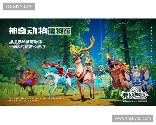 九游娱乐官方入口最新版本更新，带来丰富游戏内容和优化体验