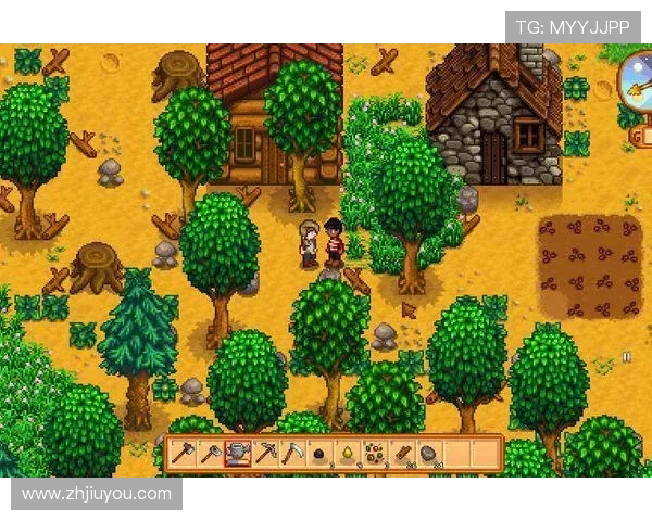 9游官网电脑版下载安装步骤详解，帮助玩家顺利获取最新游戏版本的实用指南